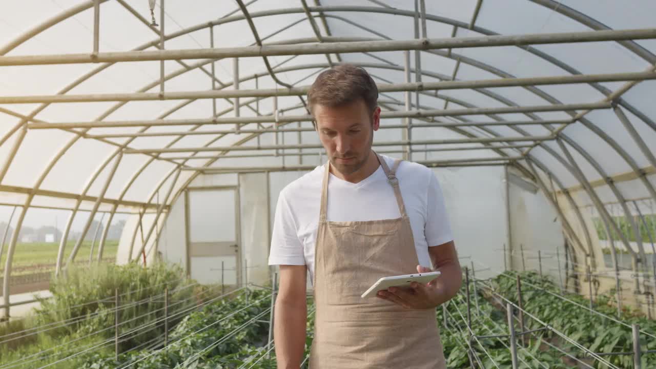 男园丁用数码平板检查温室里的植物视频下载