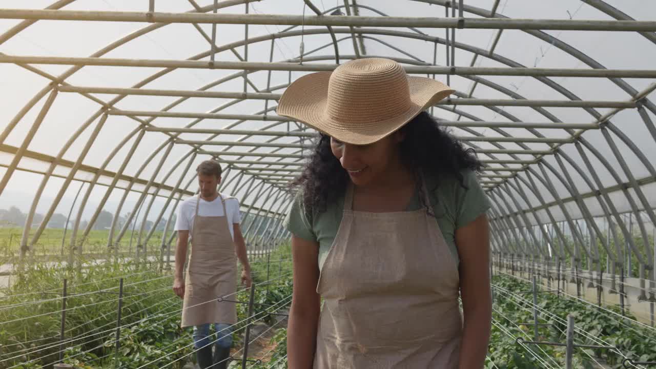 温室里的男女工人在检查植物视频下载