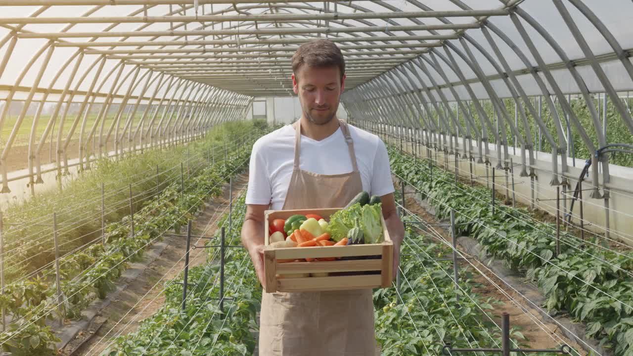 在温室的肖像中，微笑的男子站在成熟的蔬菜容器旁视频下载