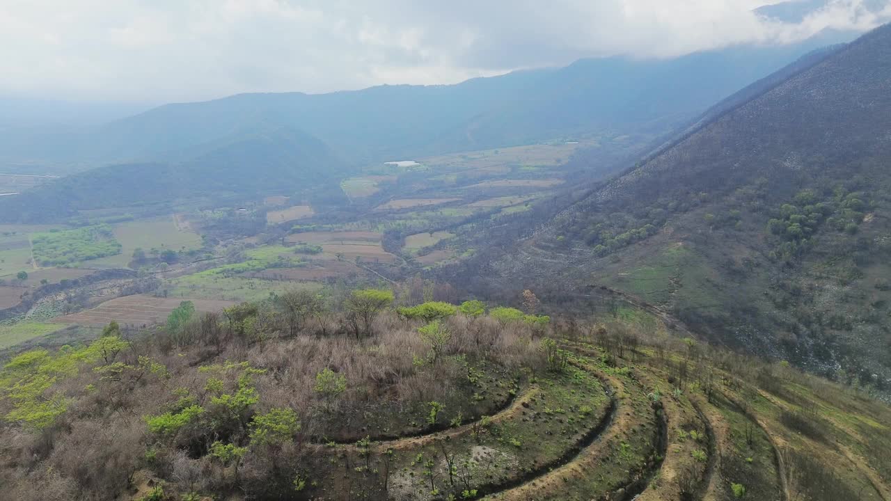 鸟瞰山间的农田、田野、植物和绿树视频下载