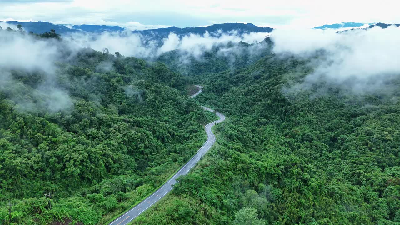 航空物流概念。一条蜿蜒的道路穿过生机勃勃的热带雨林。视频素材