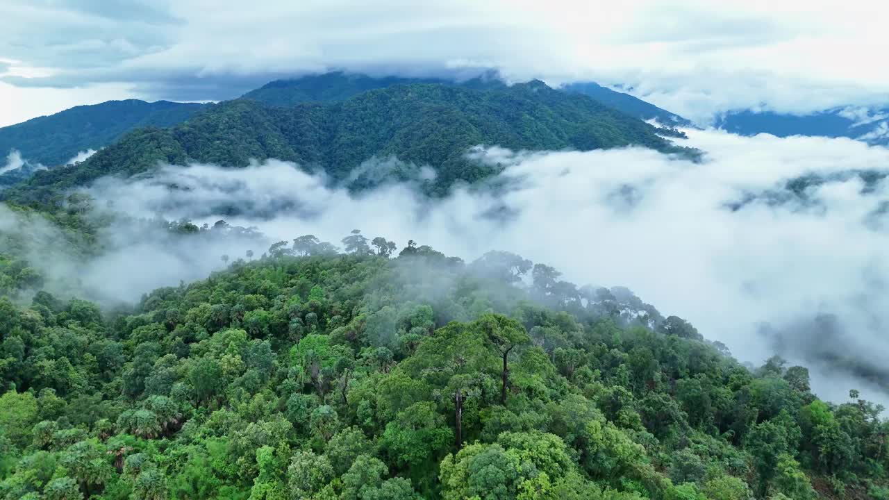 鸟瞰泰国北部雨季期间郁郁葱葱的绿色雨云覆盖的热带雨林山中的森林。视频下载