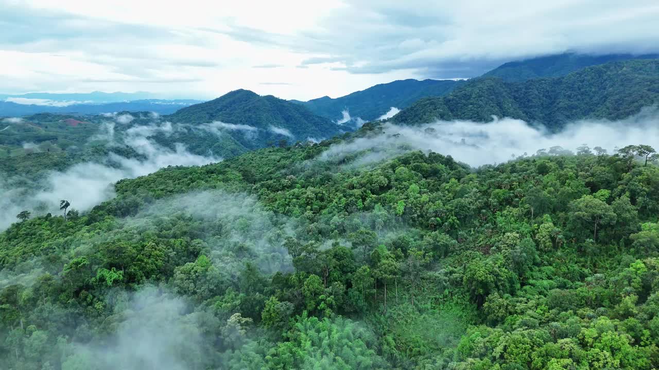 鸟瞰泰国北部雨季期间郁郁葱葱的绿色雨云覆盖的热带雨林山中的森林。视频素材