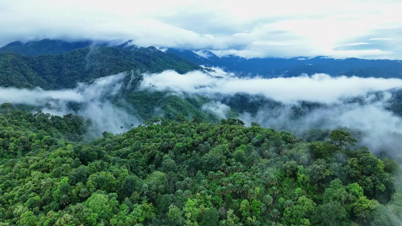 鸟瞰泰国北部雨季期间郁郁葱葱的绿色雨云覆盖的热带雨林山中的森林。视频下载