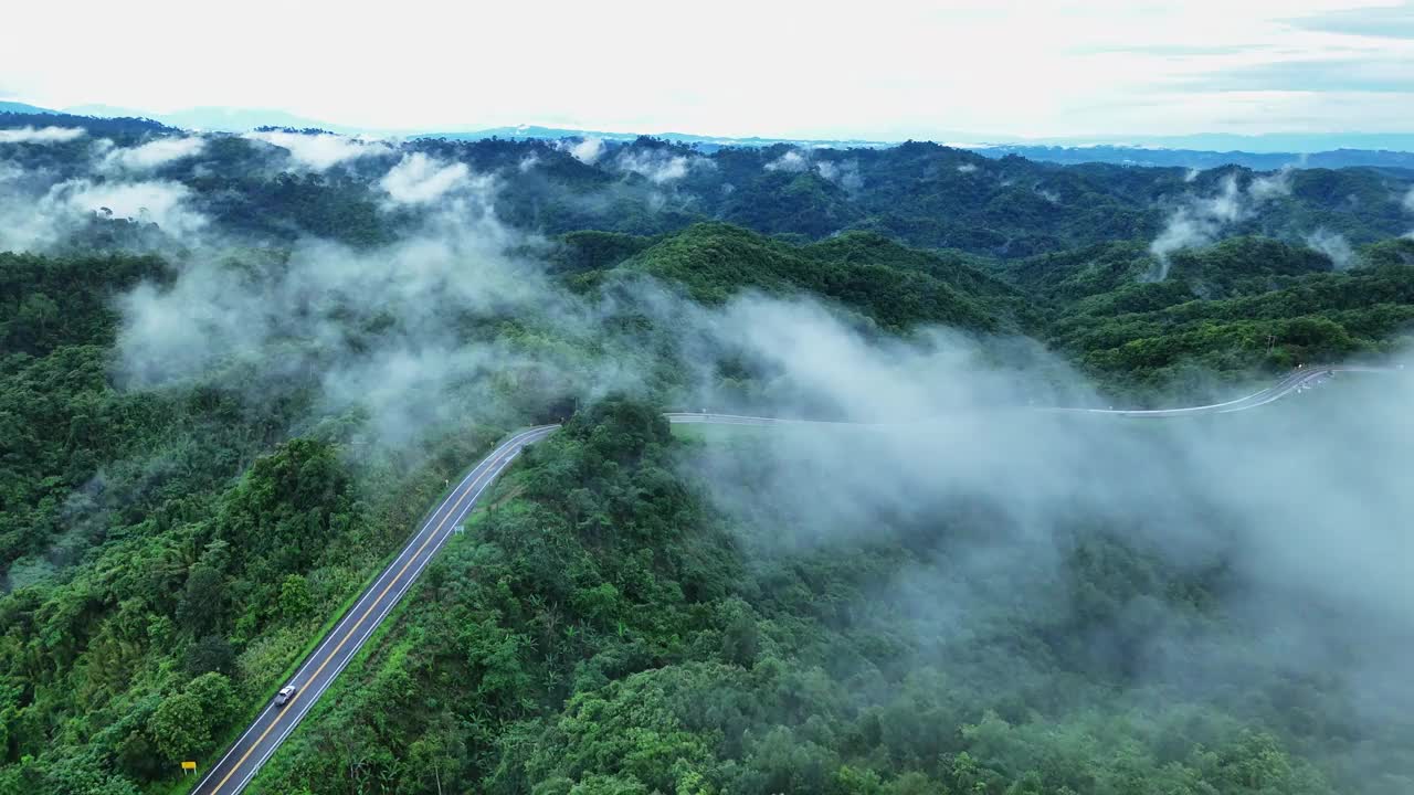 航空物流概念。一条蜿蜒的道路穿过生机勃勃的热带雨林。视频素材