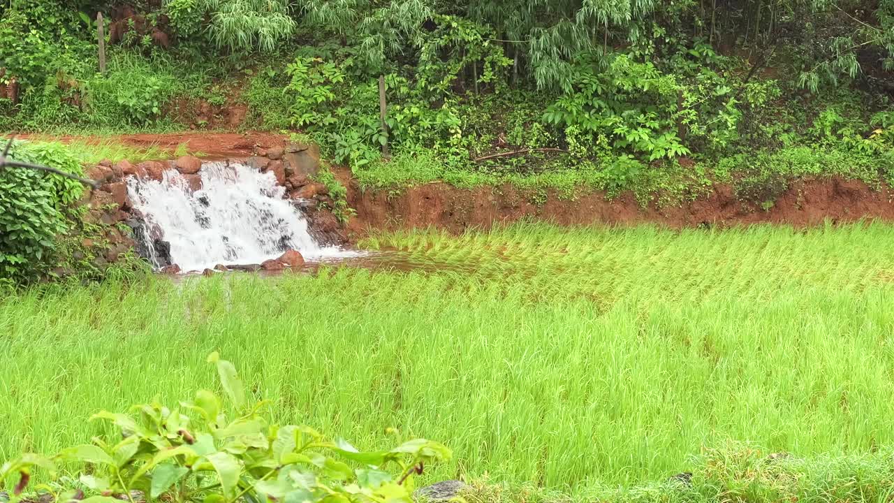 雨季的瀑布视频下载