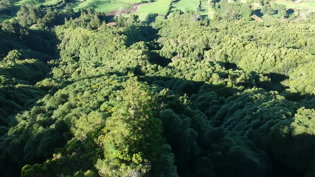 空中无人机拍摄的亚速尔群岛<s:1>米格尔岛塞特Cidades的画面视频下载