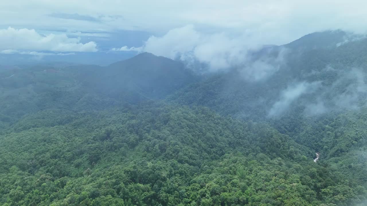 鸟瞰泰国北部雨季期间郁郁葱葱的绿色雨云覆盖的热带雨林山中的森林。视频下载