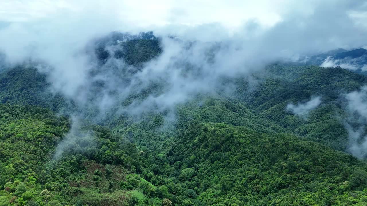 鸟瞰泰国北部雨季期间郁郁葱葱的绿色雨云覆盖的热带雨林山中的森林。视频下载