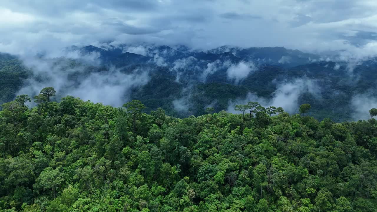 鸟瞰泰国北部雨季期间郁郁葱葱的绿色雨云覆盖的热带雨林山中的森林。视频素材