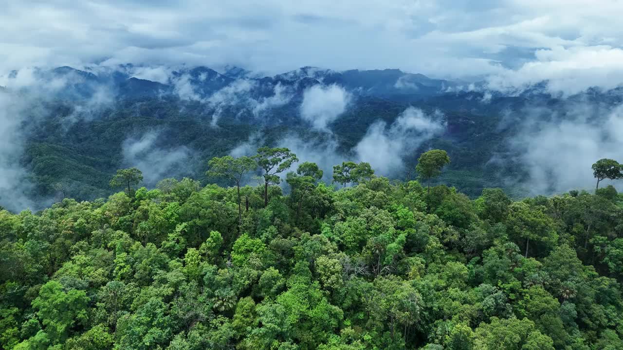 鸟瞰泰国北部雨季期间郁郁葱葱的绿色雨云覆盖的热带雨林山中的森林。视频素材