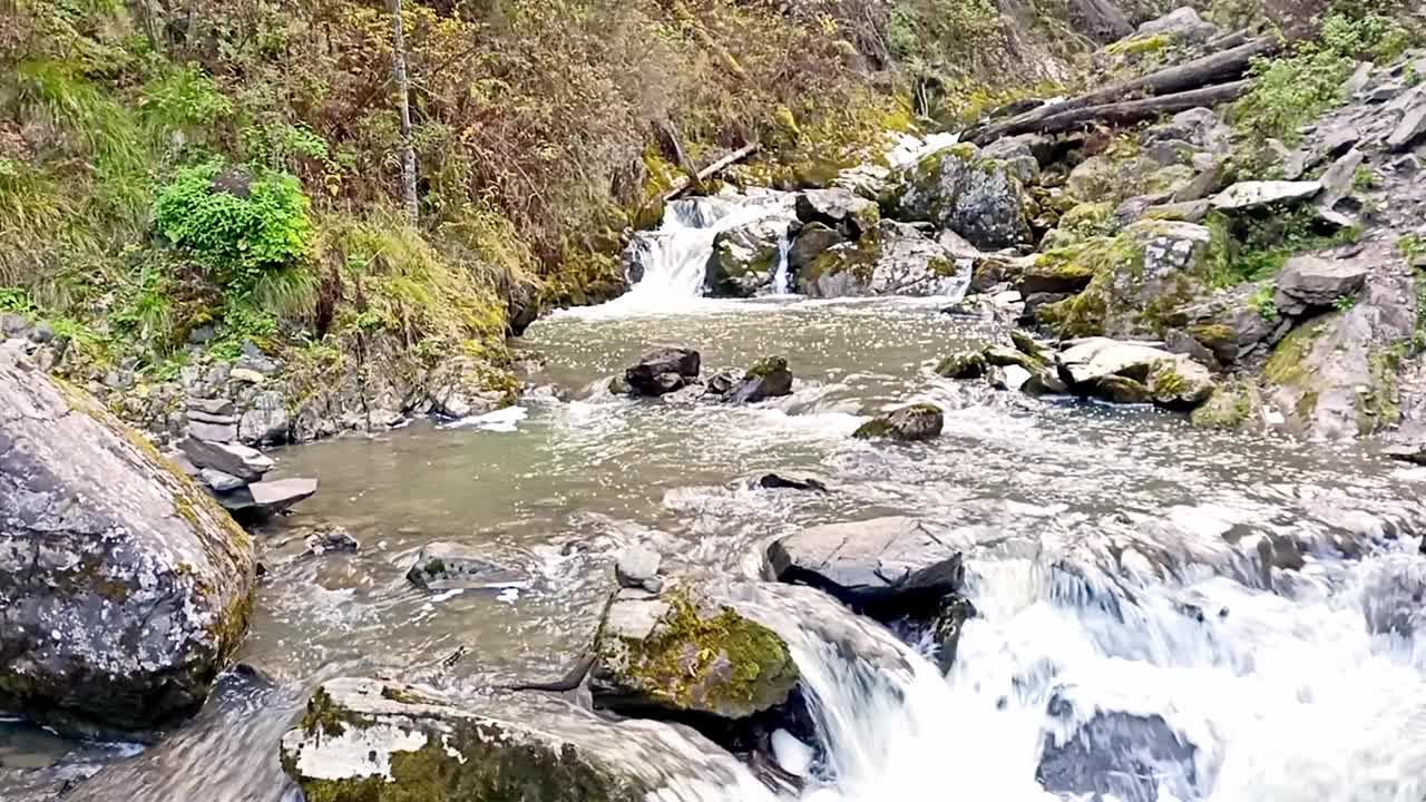 山间溪流河床上的小瀑布从清晨的秋林中倾泻而下。视频下载