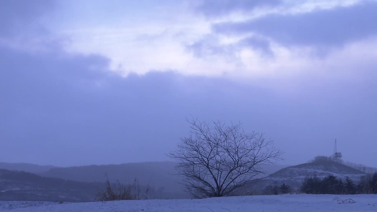 日本岩手县湖畔的雪景视频素材