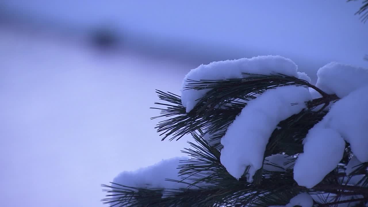 日本岩手县湖畔的雪景视频素材