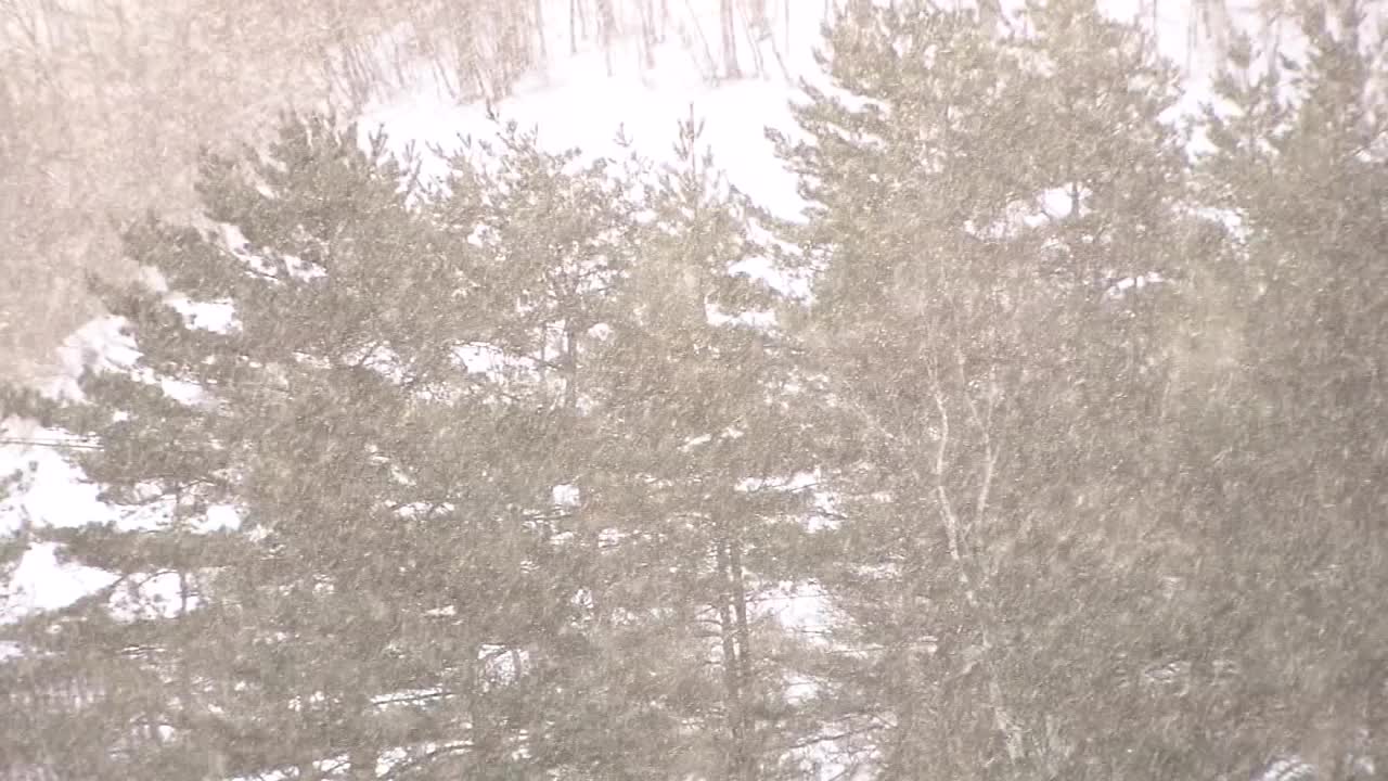 日本岩手县湖畔的雪景视频素材