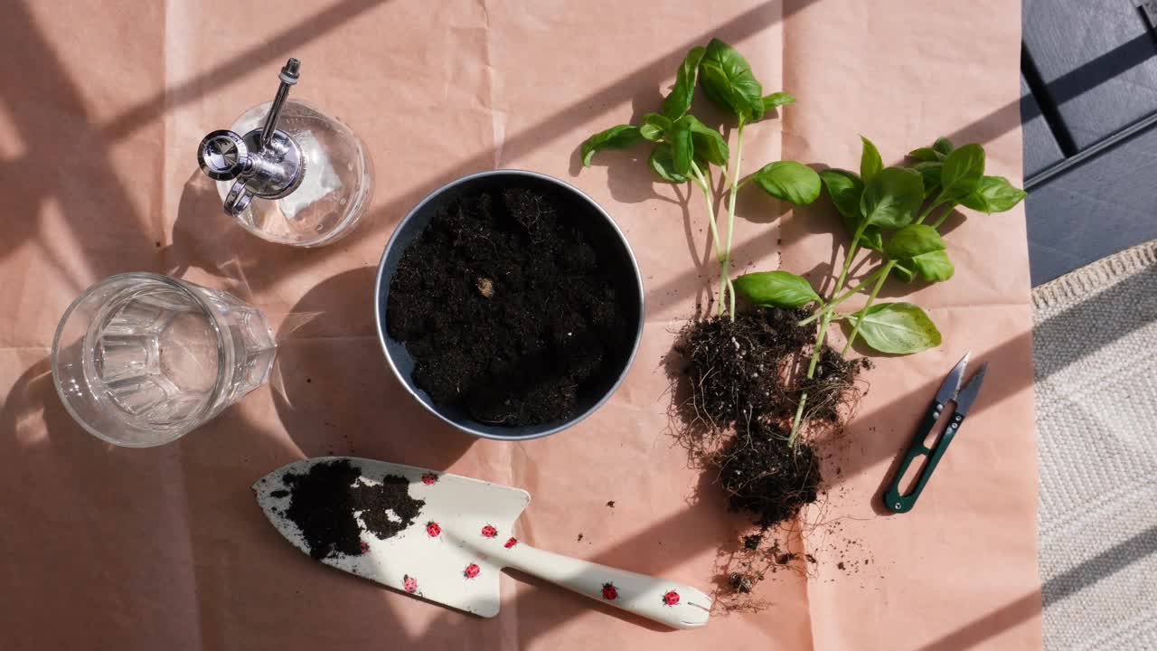 种植植物视频素材