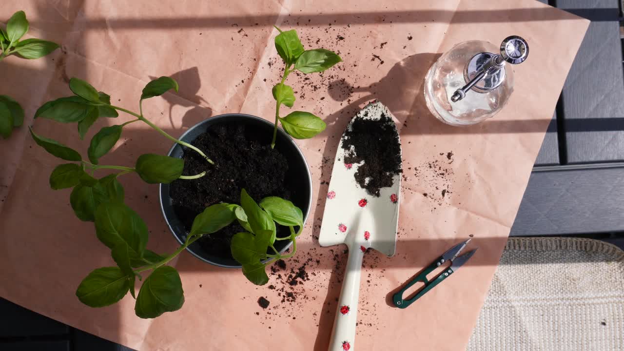 种植植物视频下载