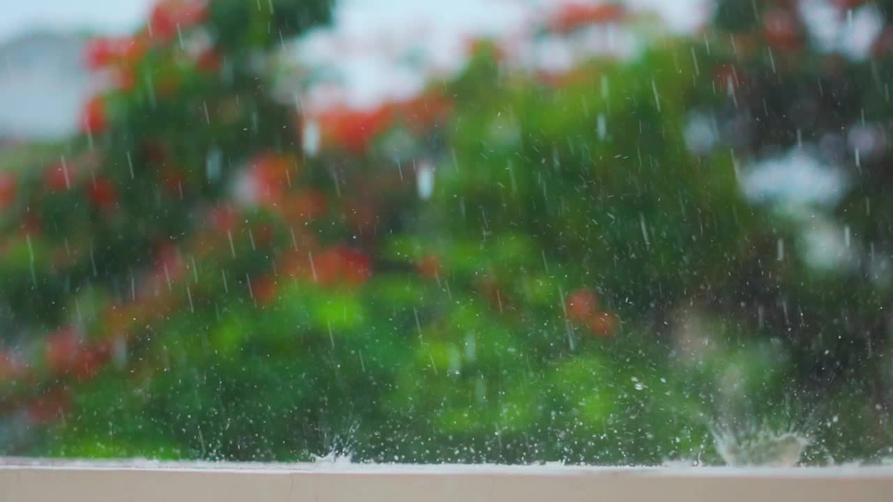 季风季节，大雨落在墙上。雨滴映衬着绿树的背景。自然背景。雨滴溅落在地板上。视频素材