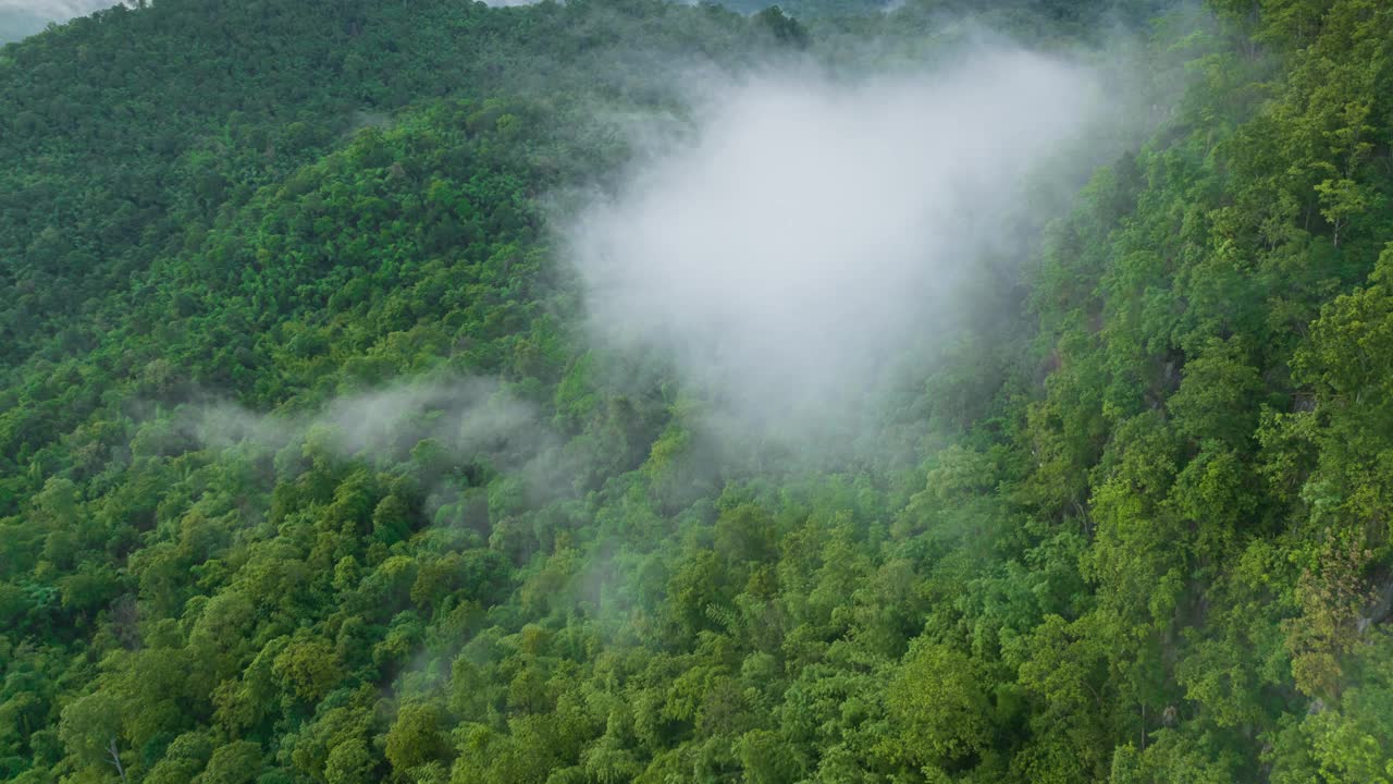 泰国北部美丽风景的鸟瞰图，这是一段4K超延时视频拍摄的，画面上是白色的雾或云在绿色的森林上移动。视频素材