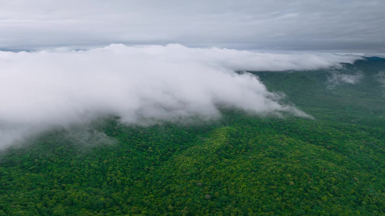 泰国北部美丽风景的鸟瞰图，这是一段4K超延时视频拍摄的，画面上是白色的雾或云在绿色的森林上移动。视频下载