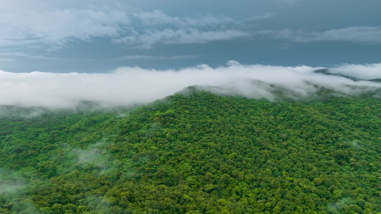 泰国北部美丽风景的鸟瞰图，这是一段4K超延时视频拍摄的，画面上是白色的雾或云在绿色的森林上移动。视频下载