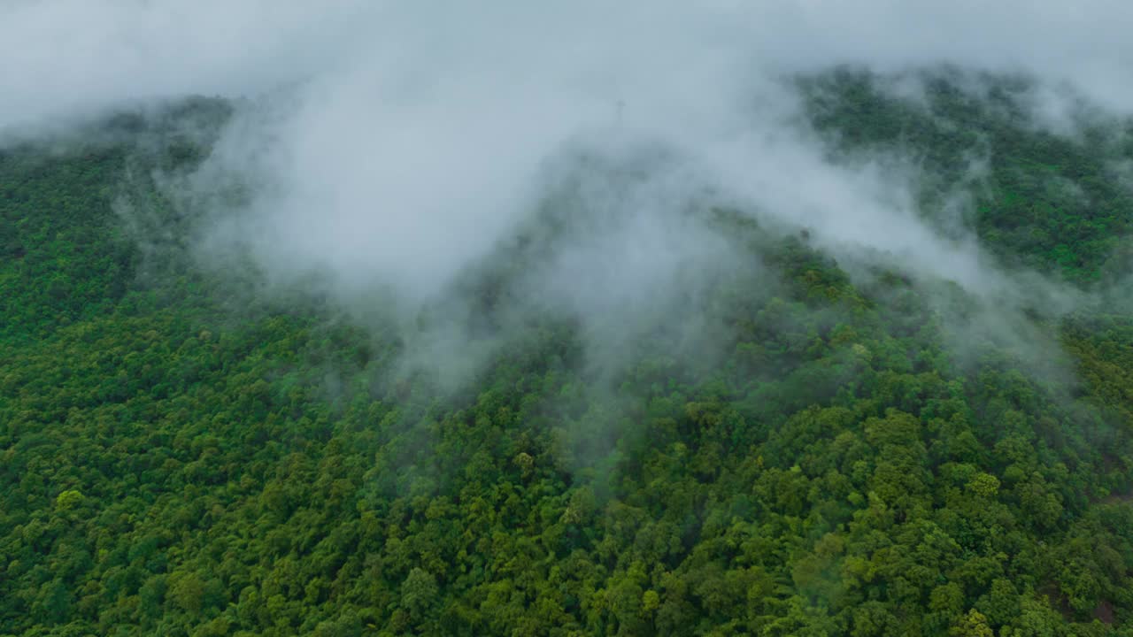 泰国北部美丽风景的鸟瞰图，这是一段4K超延时视频拍摄的，画面上是白色的雾或云在绿色的森林上移动。视频下载