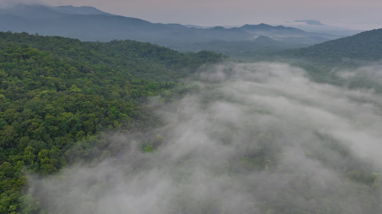 泰国北部美丽风景的鸟瞰图，这是一段4K超延时视频拍摄的，画面上是白色的雾或云在绿色的森林上移动。视频下载