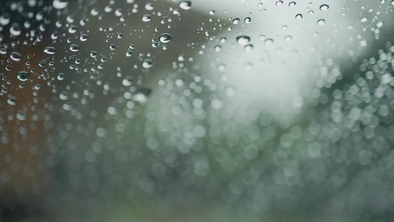 在雨林路线上驾车游览。视频下载