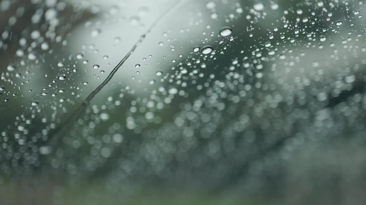 在雨林路线上驾车游览。视频素材