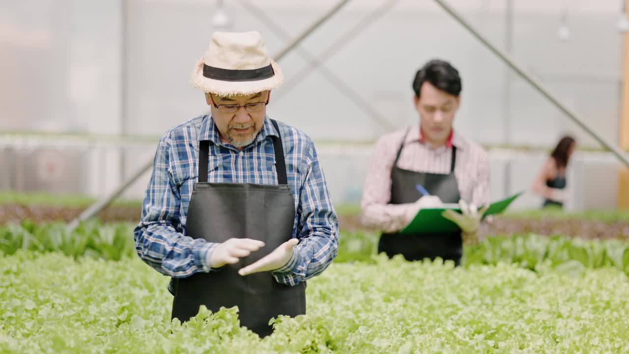 亚洲农场主和工人在一个大型苗圃里检查水培蔬菜。爱护蔬菜，生产出优质环保的产品。现代农业技术视频下载