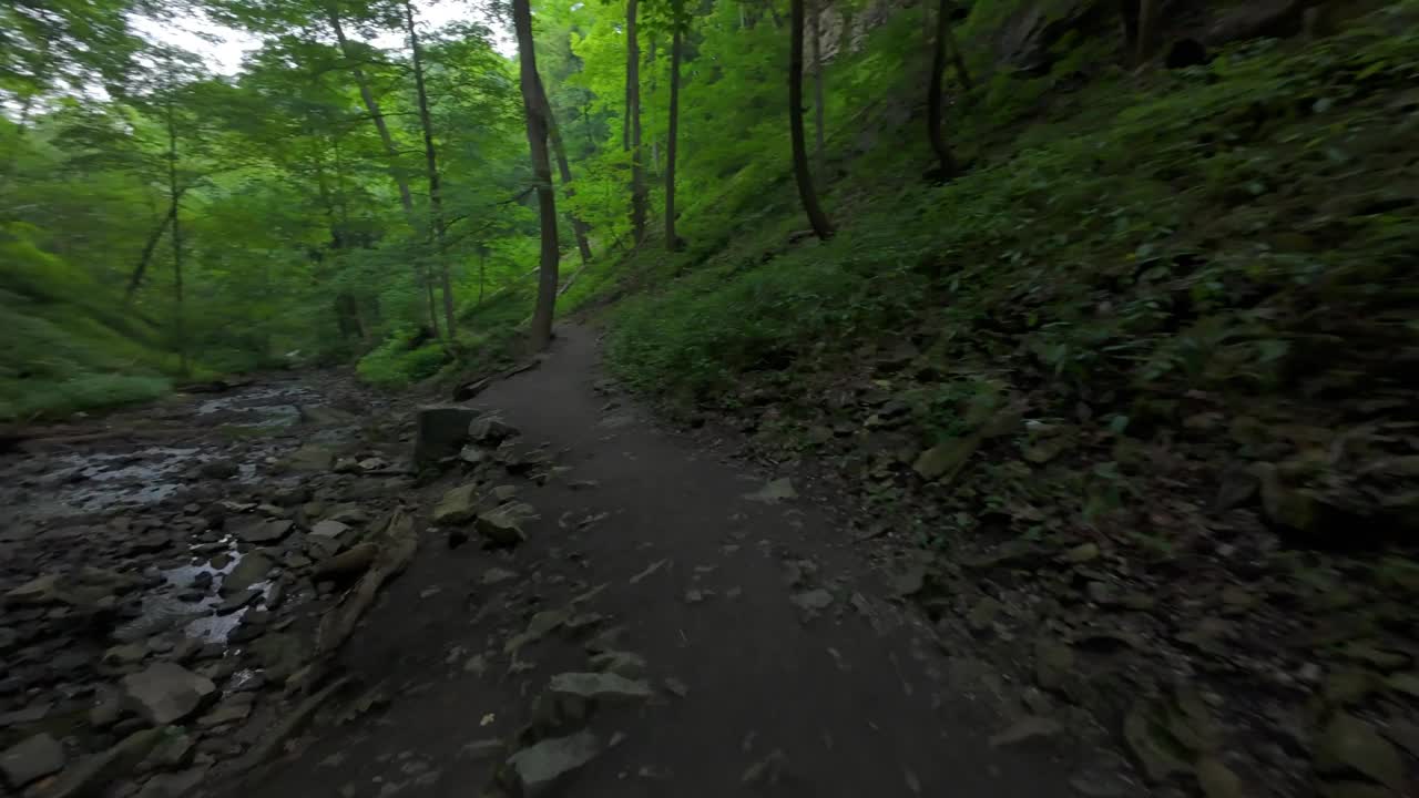 在步道上飞过树林的无人机视频素材