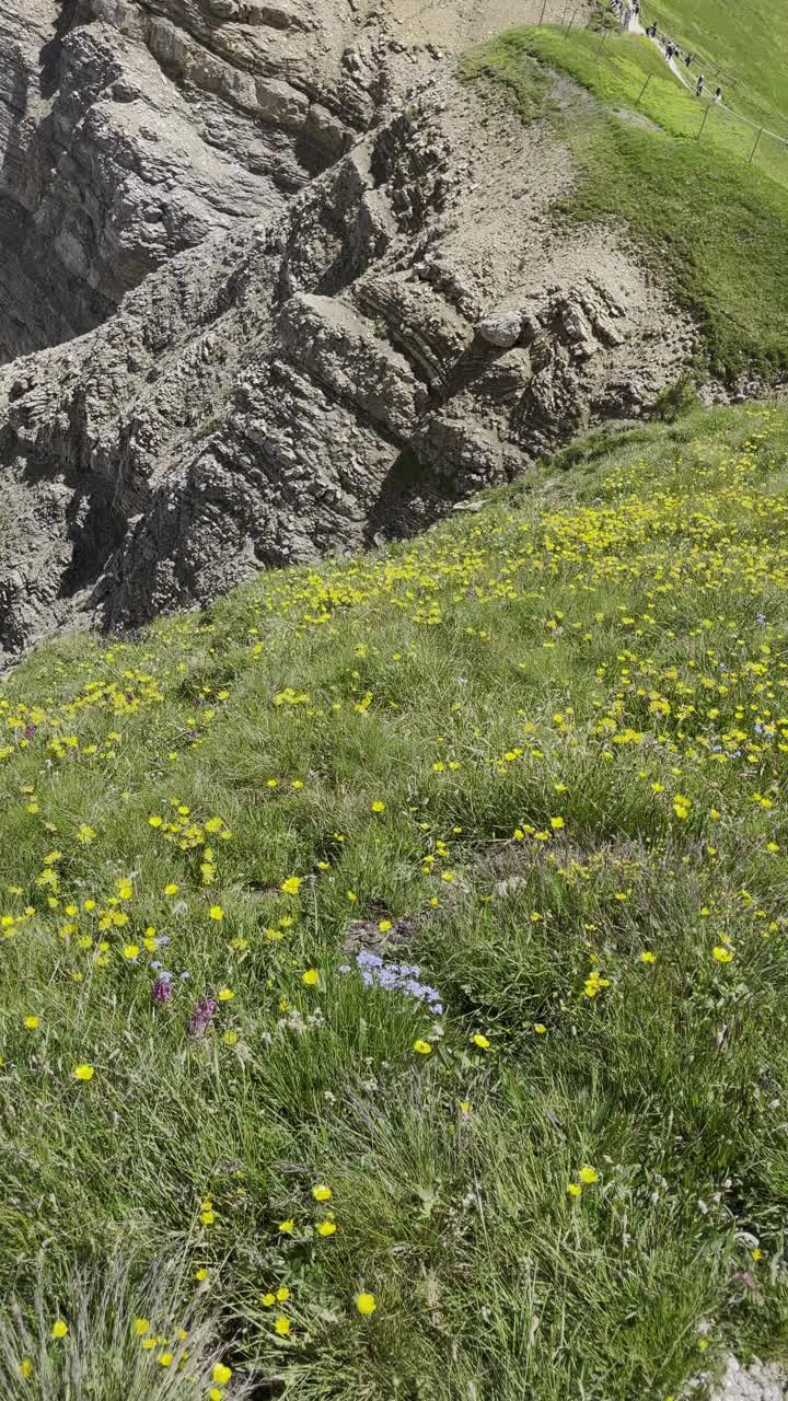 令人惊叹的山地景观和充满活力的岩石。垂直视频。视频下载