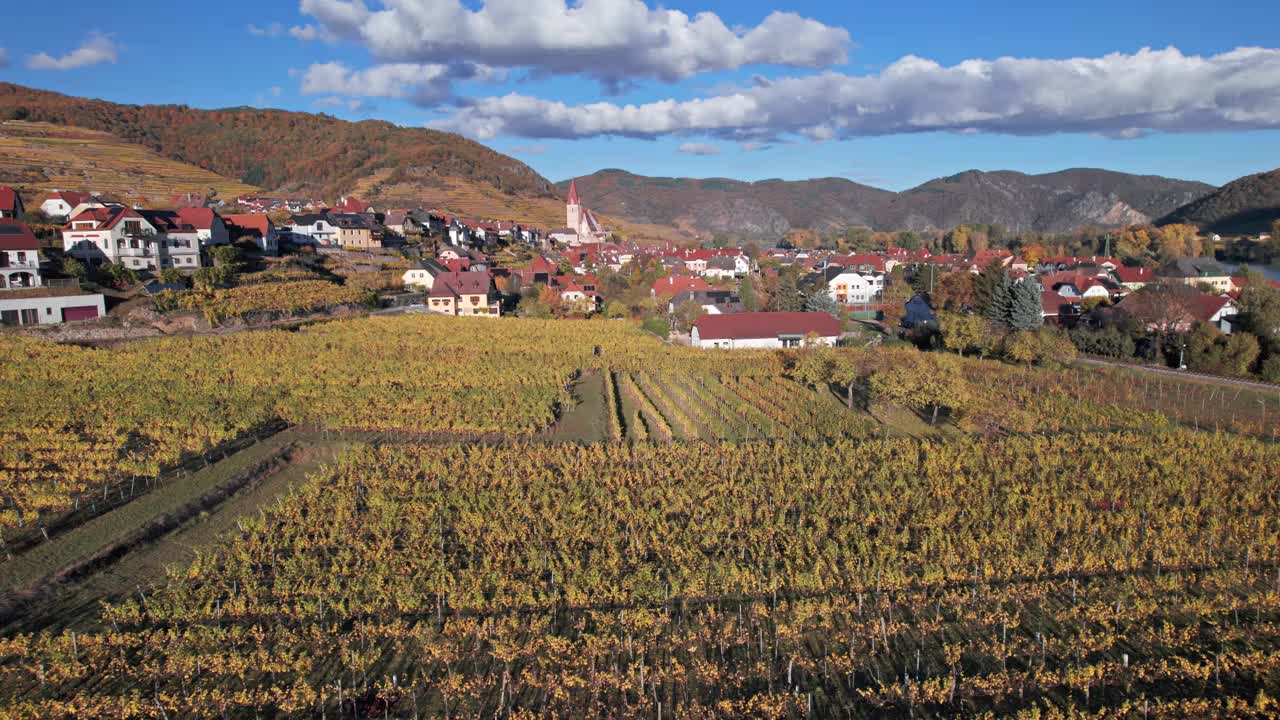 瓦豪镇的Weisenkirchen和秋天的葡萄园鸟瞰图。Wachau valley，奥地利。从30 fps加速到2倍。视频下载