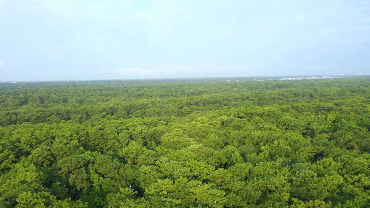 鸟瞰首次登陆州立公园和弗吉尼亚海滩海滨视频下载