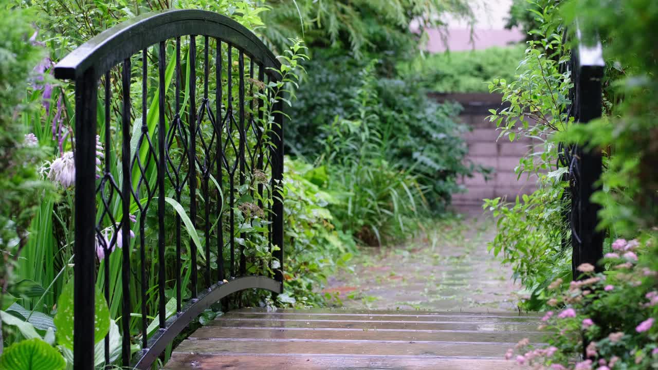 夏天花园里的雨。视频下载