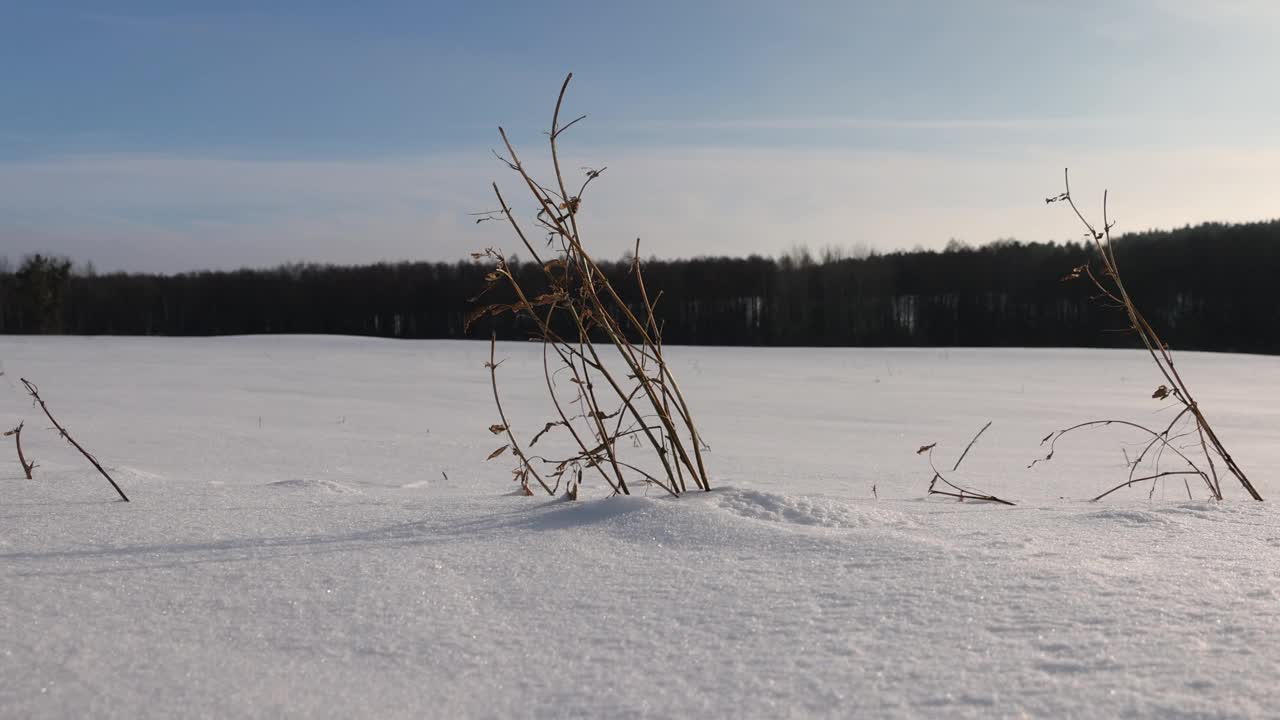 晴朗的天气下完一场美丽的新雪视频素材