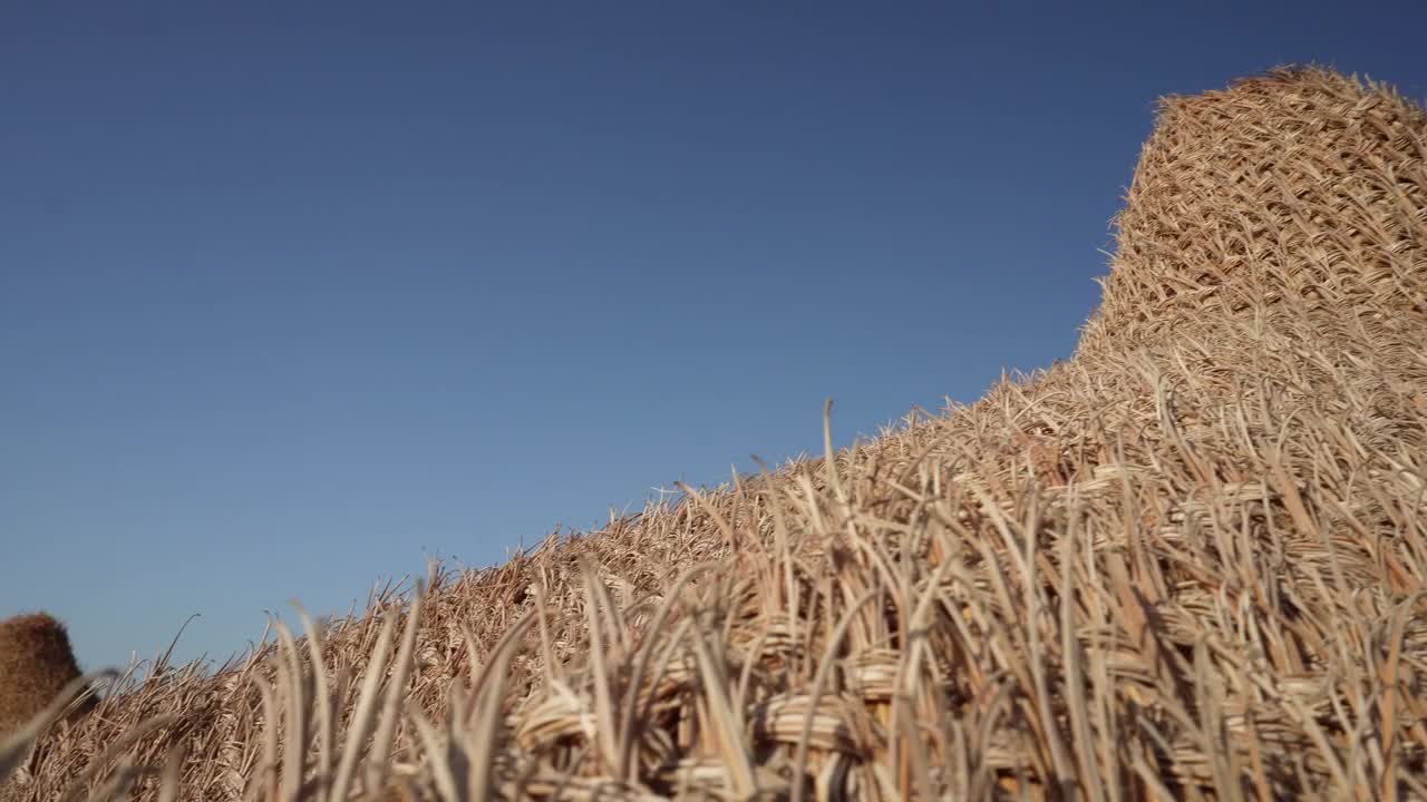 位于意大利异国情调的位置上视频下载