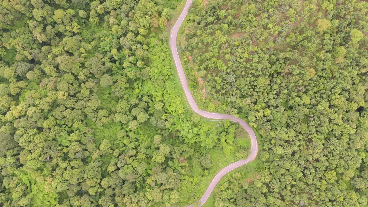 在夏季，航拍到一条蜿蜒的道路穿过茂密、充满活力的绿色森林。视频素材