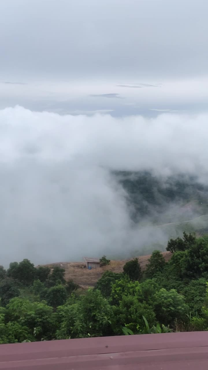 一个宁静的山景笼罩在浓雾中，展示了郁郁葱葱的绿色植物和阴天的宁静气氛。视频下载