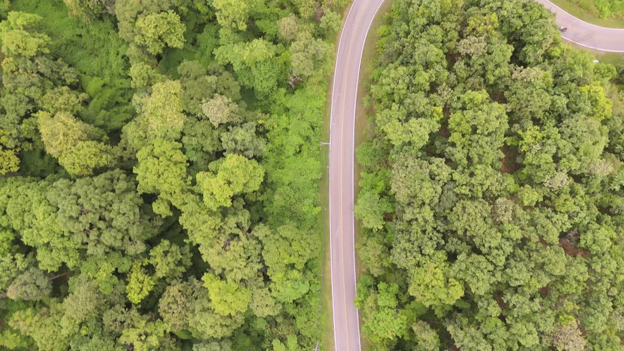 在夏季，航拍到一条蜿蜒的道路穿过茂密、充满活力的绿色森林。视频下载