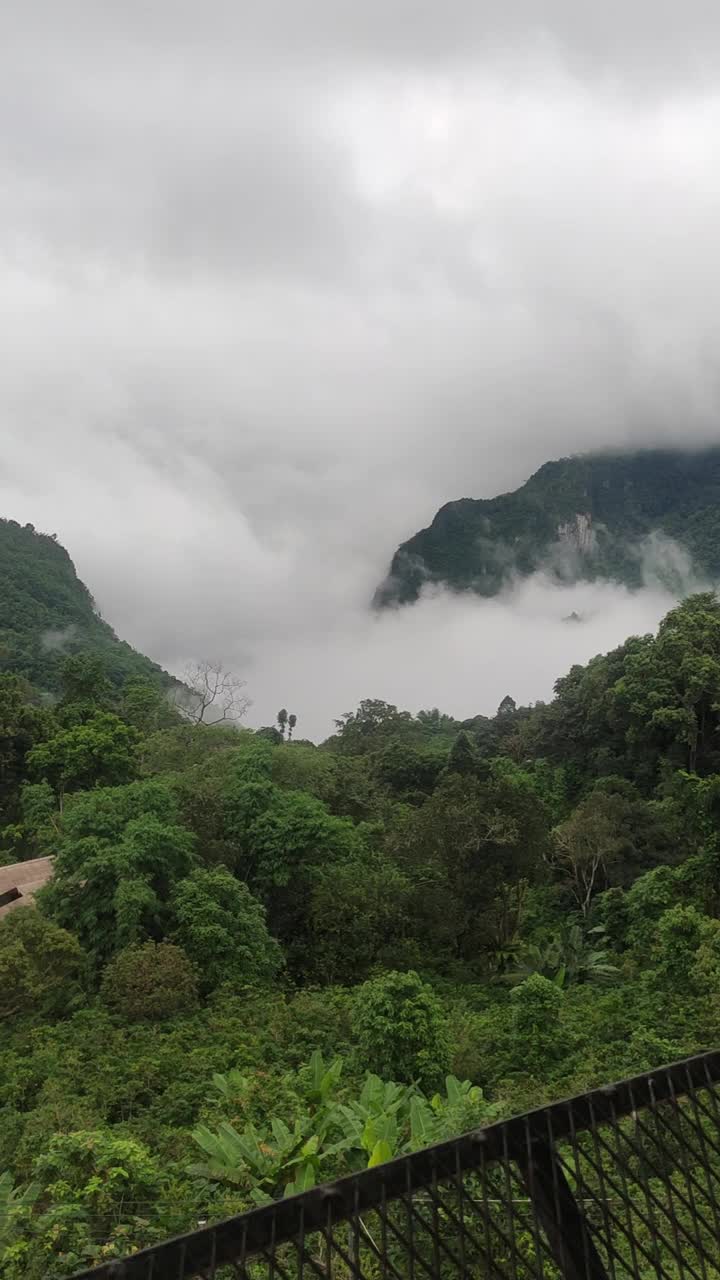 云雾缭绕的山景，被茂密的绿色森林覆盖，天空多云。视频下载