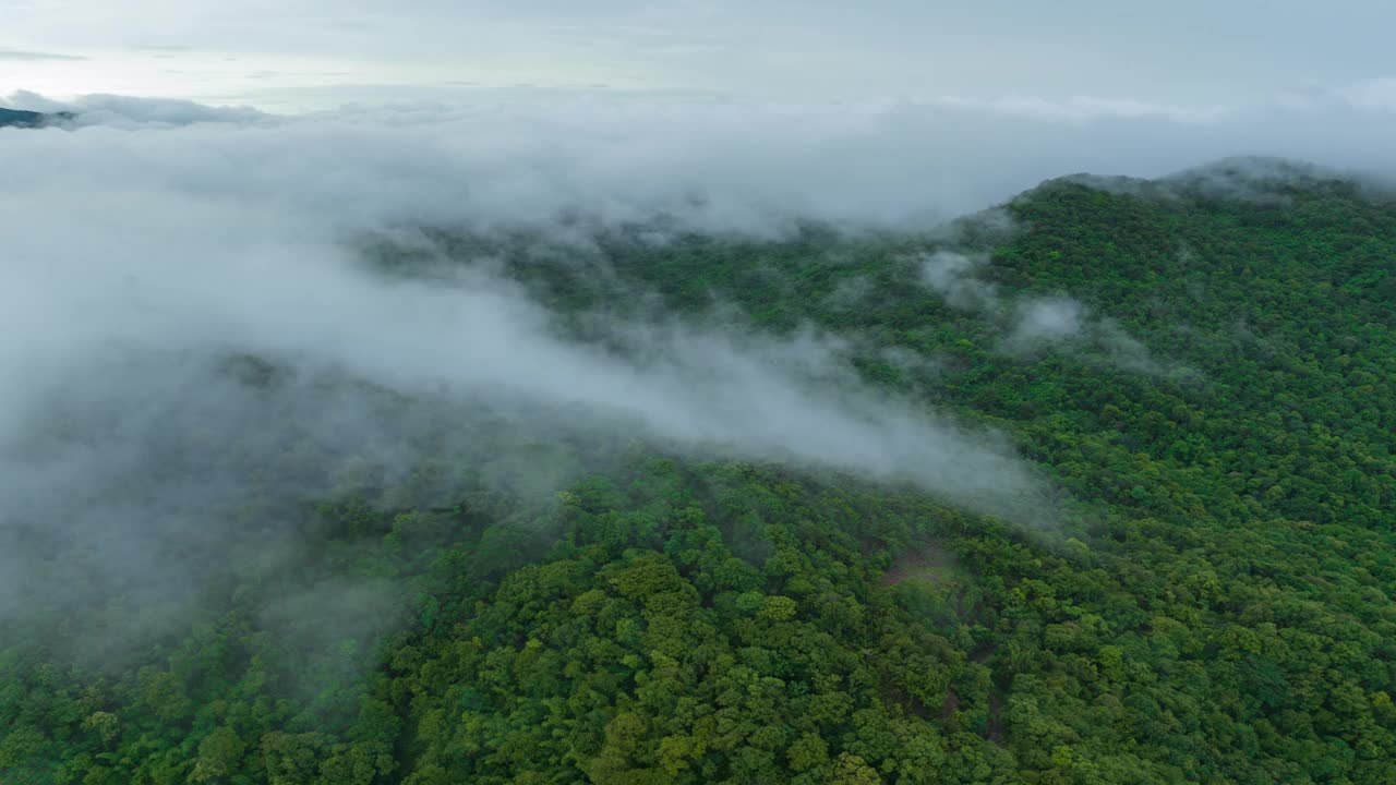 泰国北部美丽风景的鸟瞰图，这是一段4K超延时视频拍摄的，画面上是白色的雾或云在绿色的森林上移动。视频下载