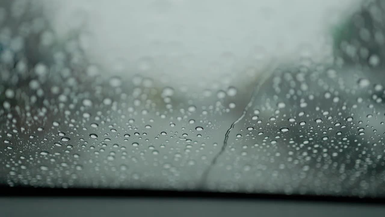 在雨林路线上驾车游览。视频下载