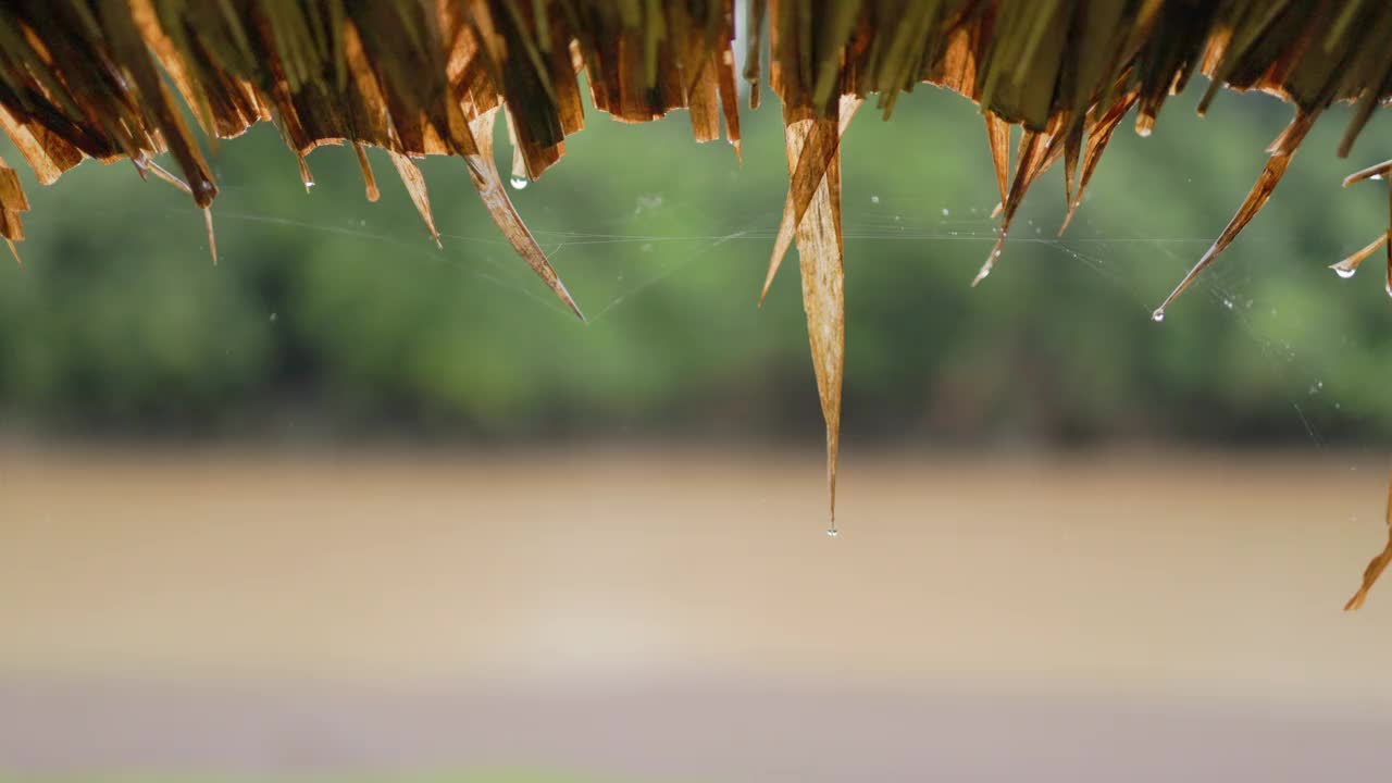 雨从屋顶落下。视频下载