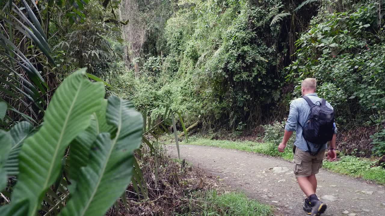 一个孤独的男人走在南美茂密的绿色丛林里的碎石路上视频素材