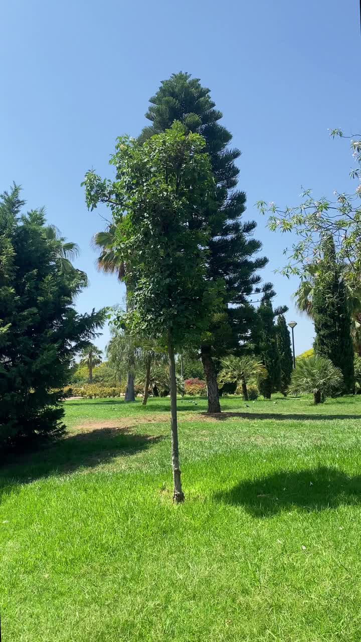 西班牙瓦伦西亚的图里亚花园视频素材