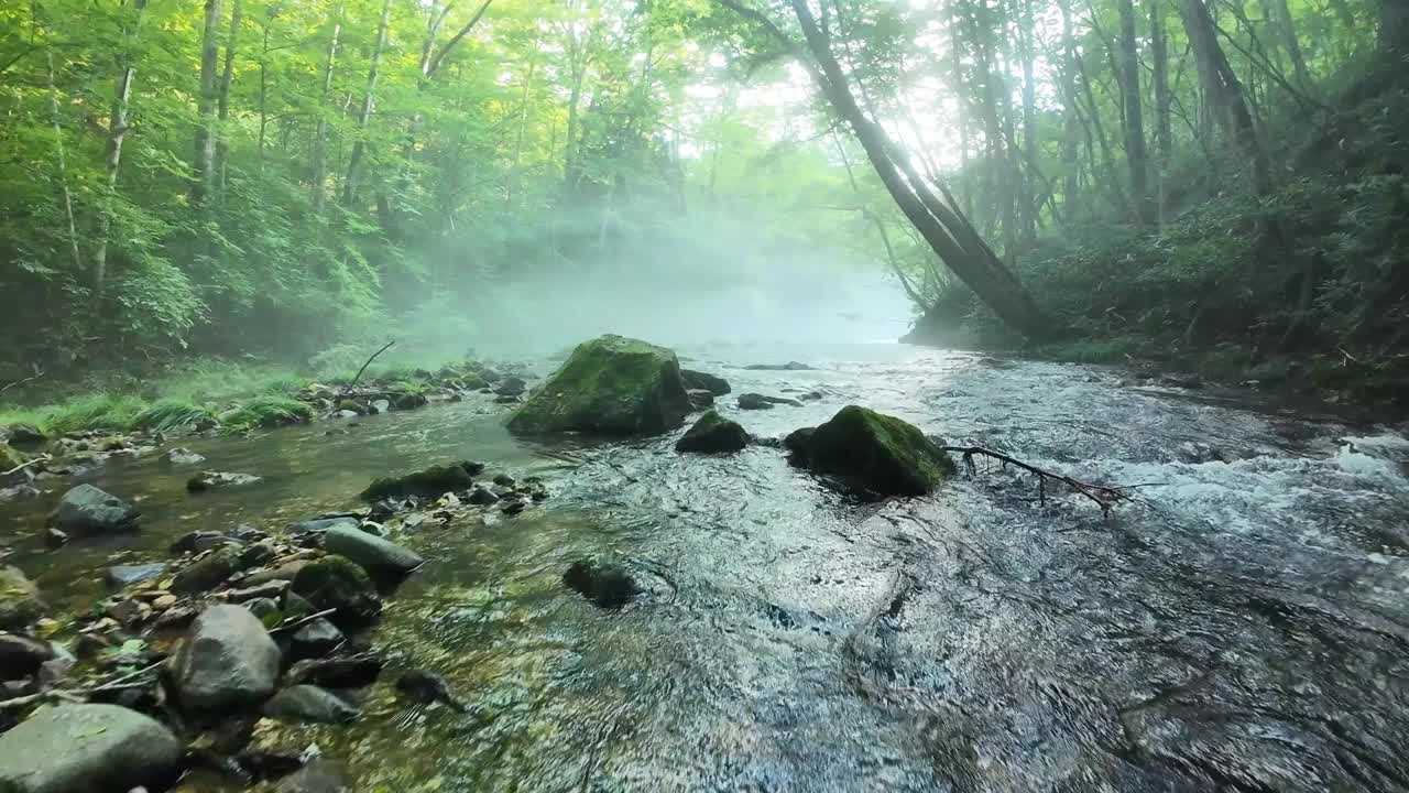 低空快速飞行沿着雄伟的雾蒙蒙的河流瀑布视频下载