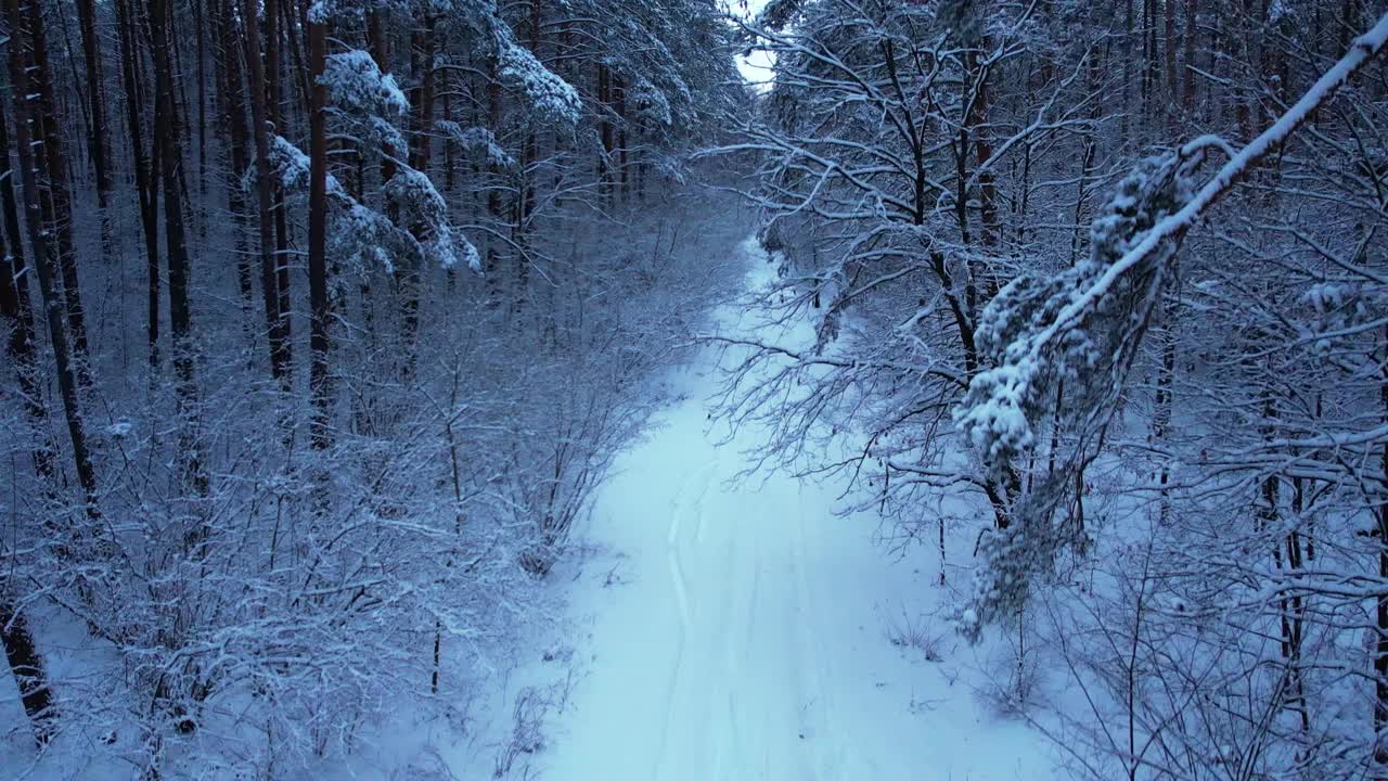 鸟瞰美丽的白雪皑皑的冬季森林。冬天雪地里的路。霜晨旅行概念背景。令人惊叹的冬季景象。圣诞节的主题。云杉覆盖视频素材