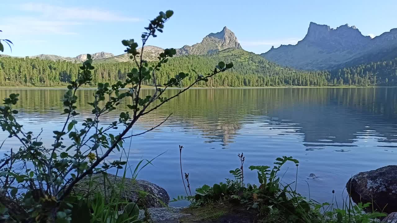 在一个阳光明媚的夏日傍晚，在一个被尖尖的山峰环绕的美丽的大湖岸边，一棵灌木的大树枝和石头。视频下载