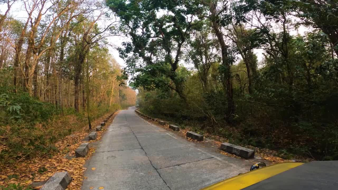 在印度Buxa老虎保护区，自动人力车行驶时的丛林场景。视频素材